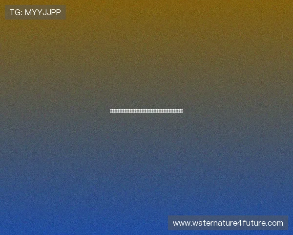 世界杯期间足球下注注意事项:确保资金安全与提升盈利的实用建议 世界杯期间足球下注注意事项:确保资金安全与提升盈利的实用建议